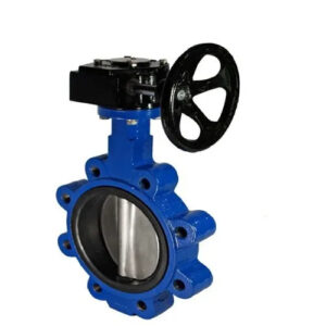 Cast iron gearbox butterfly valve
